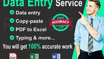 I will do data entry, copy paste, web research, excel data entry, pdf to excel