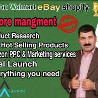 I will be your amazon or ebay virtual assistant fba wholesale pl Dropshiping 