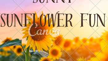 Sunny Sunflower Fun".