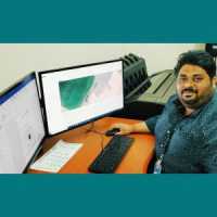 GIS and Remote Sensing Professional and Cartographer
