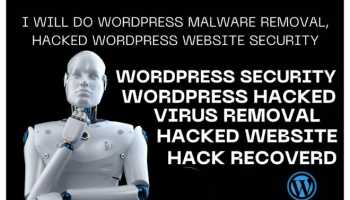 I will do wordpress malware removal, hacked wp website security