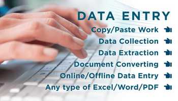  Excel Data Entry and Organization Specialist 