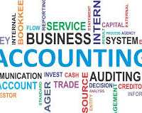 Accountant, Financial consultant and data analyst