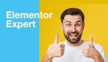 I will be your elementor expert for elementor website by elementor pro