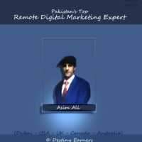 Remote Digital Marketing Expert