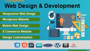 I will develop a responsive website for business or personal use