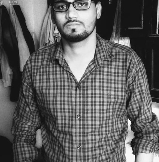 Vipin S. - Web Developer