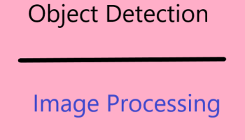 Image classification or Object detection model