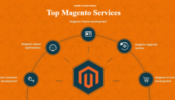 Magento 2 store customization, maintenance and support